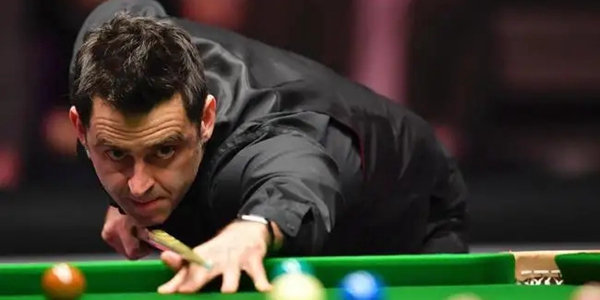 他们不仅要 他们不仅要